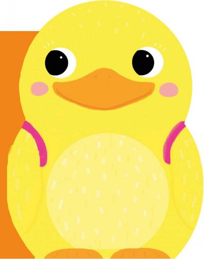 Danny’s Pond Adventure