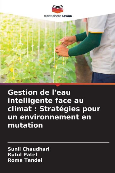 Gestion de l’eau intelligente face au climat : Stratégies pour un environnement en mutation