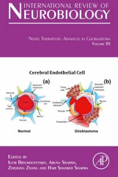 Novel Therapeutic Advances in Glioblastoma