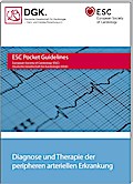 Diagnose und Therapie der peripheren arteriellen Erkrankungen