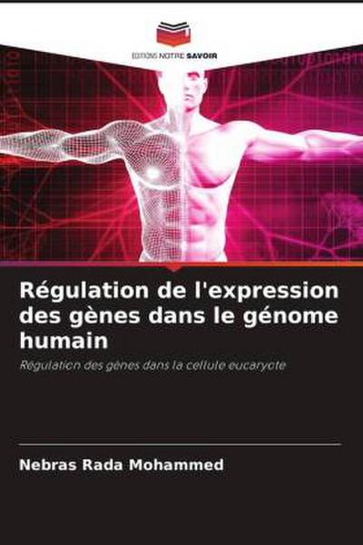 Régulation de l’expression des gènes dans le génome humain