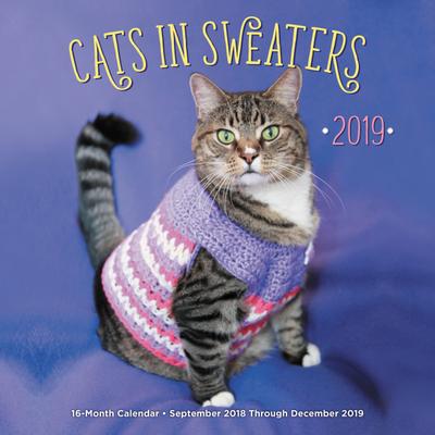 Cats In Sweaters 2019