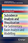 Subsidence Analysis and Visualization