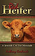 Red Heifer