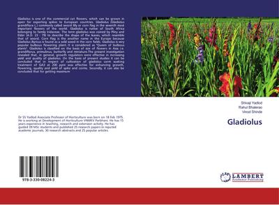 Gladiolus
