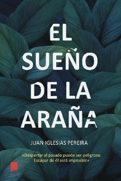 EL SUEÑO DE LA ARAÑA