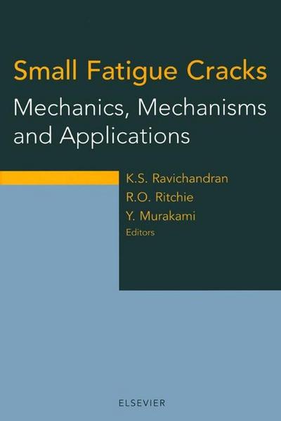 Small Fatigue Cracks