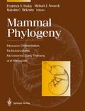 Mammal Phylogeny