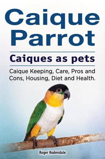 Caique parrot. Caiques as pets. Caique Keeping, Care, Pros and Cons, Housing, Diet and Health.