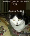 Und jetzt jetzt ist die Katze weg von Siglinde Bickl | Ebook