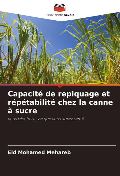 Capacité de repiquage et répétabilité chez la canne à sucre
