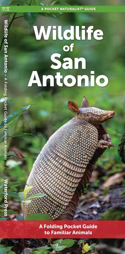 Wildlife of San Antonio