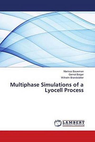 Multiphase Simulations of a Lyocell Process