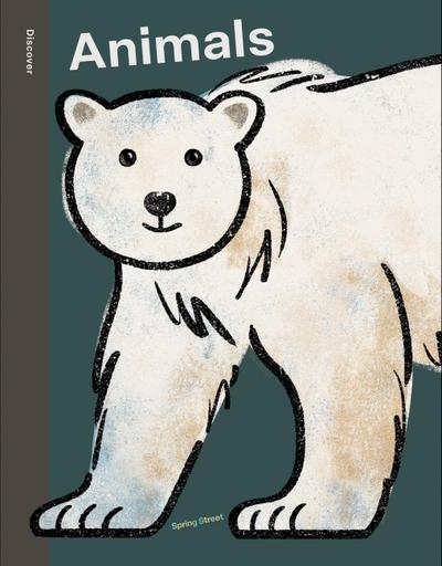 Spring Street Discover: Animals