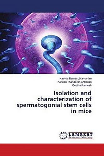 Isolation and characterization of spermatogonial stem cells in mice