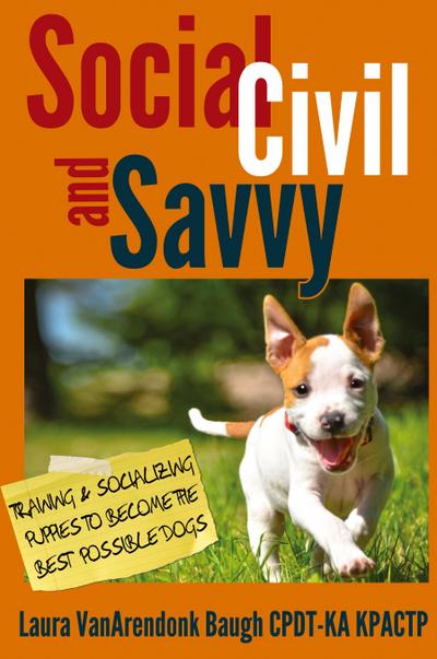 Social, Civil, and Savvy