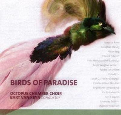 Birds of Paradise: Chorwerke