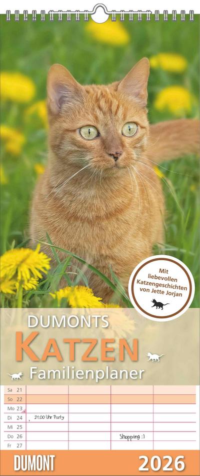 Dumonts Katzen Kalender - Familienplaner im Format 19,5 x 45