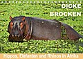 Dicke Brocken - Hippos, Elefanten und Rhinos in Afrika (Tischkalender 2017 DIN A5 quer) - Wibke Woyke
