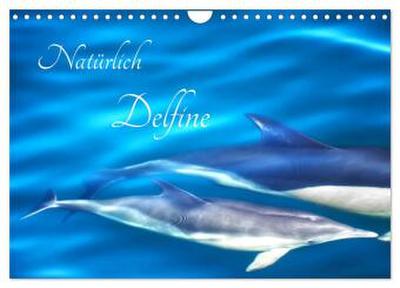Natürlich Delfine (Wandkalender 2026 DIN A4 quer), CALVENDO Monatskalender
