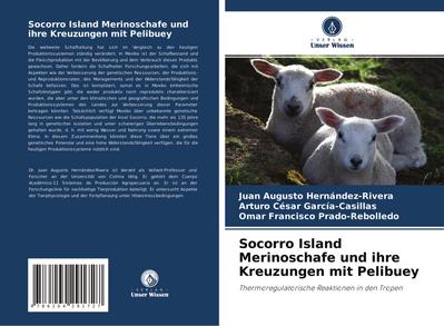 Socorro Island Merinoschafe und ihre Kreuzungen mit Pelibuey