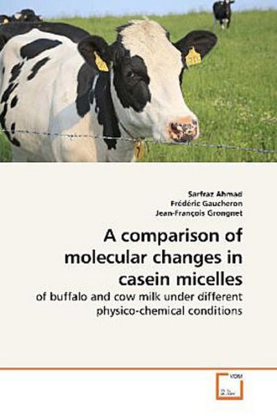 A comparison of molecular changes in casein micelles
