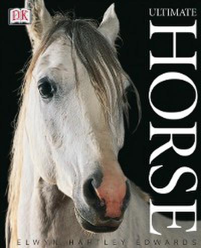 Ultimate Horse