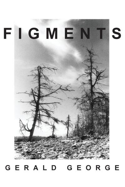 Figments