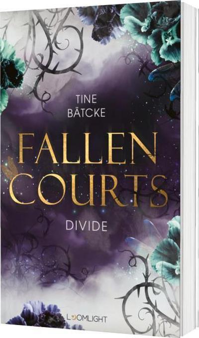 Fallen Courts - Divide