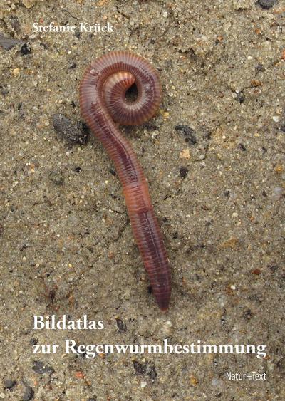 Bildatlas der Regenwurmbestimmung