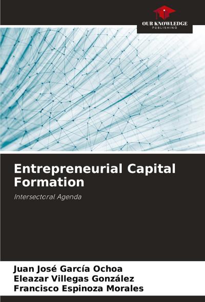 Entrepreneurial Capital Formation
