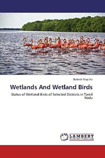 Wetlands And Wetland Birds