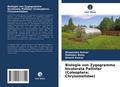 Biologie von Zygogramma bicolorata Pallister (Cole