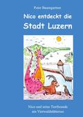 Nico entdeckt die Stadt Luzern