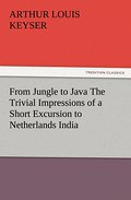 From Jungle to Java The Trivial Impressions of a S