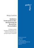 Kollektive Verbraucherrechtsdurchsetzung im Bereich der Streuschäden
