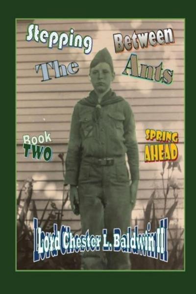 Stepping Between The Ants