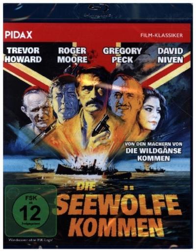 Die Seewölfe kommen