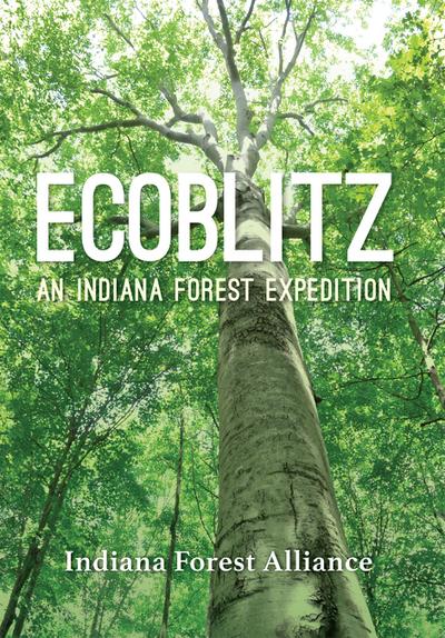 Ecoblitz