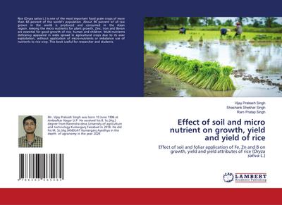 Effect of soil and micro nutrient on growth, yield and yield of rice