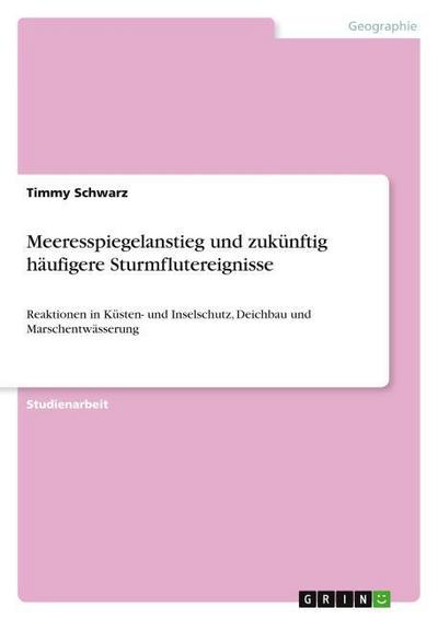 Meeresspiegelanstieg und zukünftig häufigere Sturmflutereignisse - Timmy Schwarz