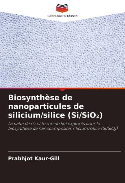 Biosynthèse de nanoparticules de silicium/silice (Si/SiO¿)