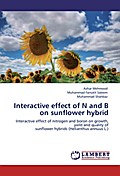 Interactive effect of N and B on sunflower hybrid