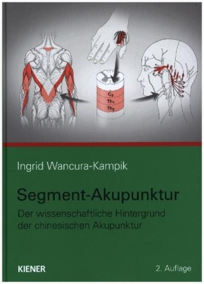 Segment-Akupunktur