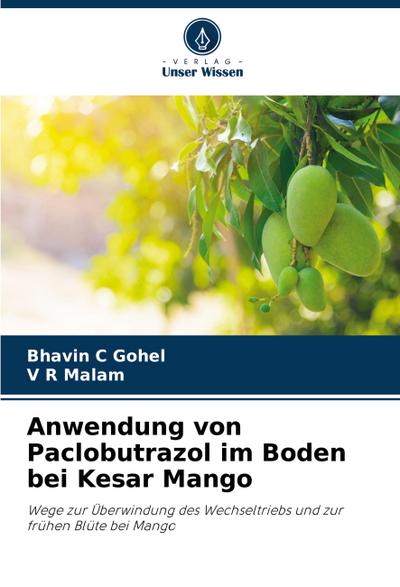 Anwendung von Paclobutrazol im Boden bei Kesar Mango