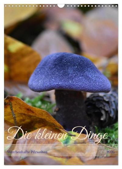 Die kleinen Dinge - märchenhafte Pilzwelten (Wandkalender 2026 DIN A3 hoch), CALVENDO Monatskalender