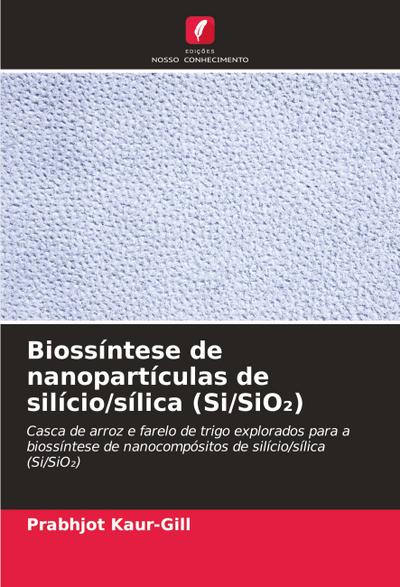 Biossíntese de nanopartículas de silício/sílica (Si/SiO¿)