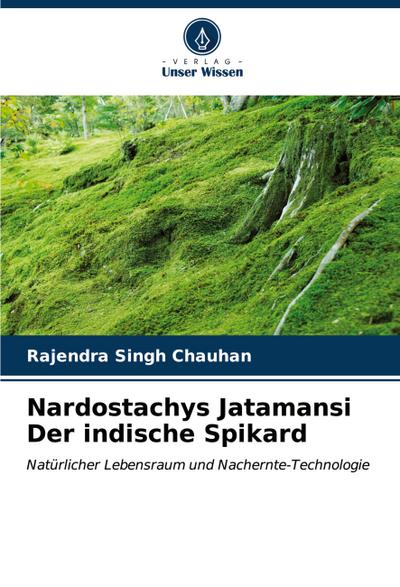 Nardostachys Jatamansi Der indische Spikard