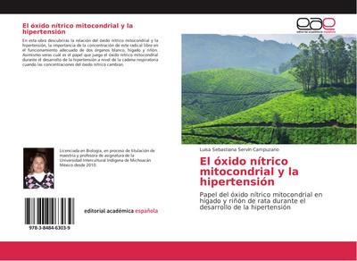 El óxido nítrico mitocondrial y la hipertensión