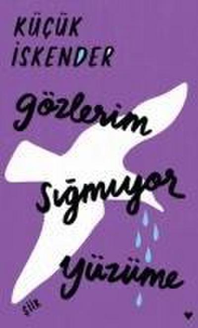 Gözlerim Sigmiyor Yüzüme Ciltli